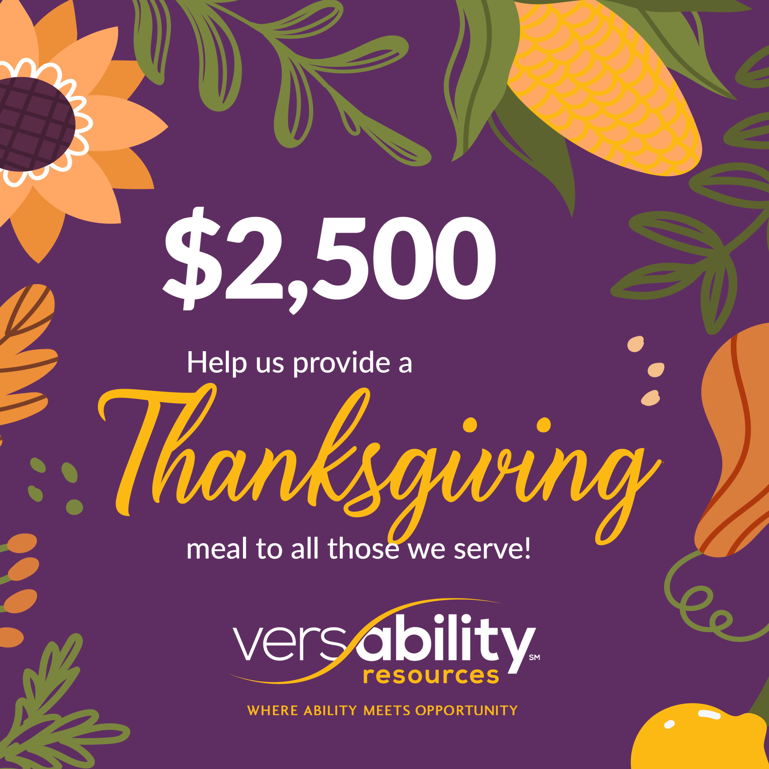 Donate to VersAbility Resources Fundraiser to Provide a Thanksgiving Meal to People with Disabilities